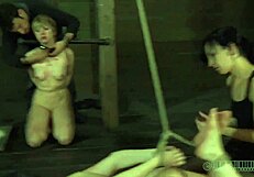 Exploring beauty and castigation in this video series