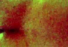 Filming the neighbor's dance, but she notices the camera