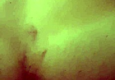 eu chic�o levando no cu de quatro do vigilante pirocudo