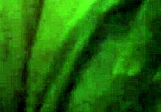 Wow, Intense Pussy Play With Toys And Vibrator On Hairy Pussy!