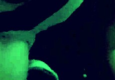 i'm hanging out with my friend ridley dovarez and we're just chatting.