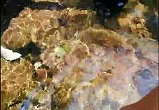 por mas mujeres asi nos fuimos de paseo por la montana con estefii muy zorra mira lo que hace