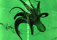 Dark lantern entertainment presents the dragonfly retro film