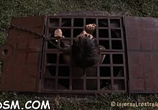 Castigation porn with sucking and fucking