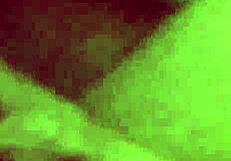 shemale rides guys cock with blowjob and masturbation