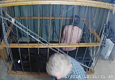 The Cagecam Shows A Non-Edited Feed From The Cage