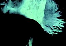 Vintage Bisexual Threesome Features Retro Lesbian Pussy Play And Hairy Beaver Exploration In Antique Setting