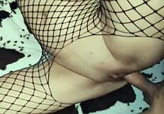 Anal Wife In Stockings Gets Fucked