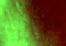 Sexy Big Ass Milf Rides Cowgirl