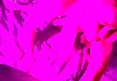 Big Cock Present for St Valentines Day