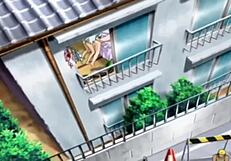 adult commentary explores women at work in hentai exposition with raccoon management twists