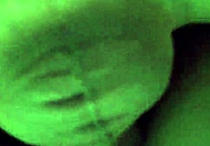 bulgarian milf velichka gives blowjob to young lover – so hot