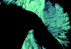 in this vintage tale, a gentleman confesses his blowjob experiences.