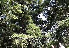 Hunt4k Pour De LargEnt Un ÉtAlon Accepte De Regarder Comment Le Chasseur Cloue Sa Petite 18+ Amie