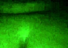 big ass amateur bbw enjoys some casual fun