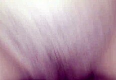 amateur fucks the slutty wife with blowjob and pussy fucking