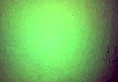 Colombian MILF Delivers Homemade Blowjob with Big Tits and Huge Ass Spreading