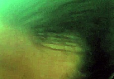 BBW tranny sucking and rimming black ass suggestively