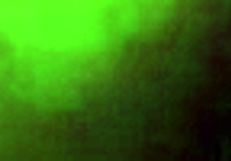 Super Wet Creamy Pussy Play With Daddy And Mommy