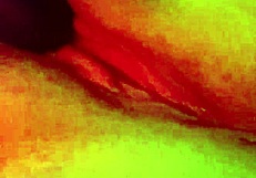 Did You See Me Playing With Myself Until I Came?