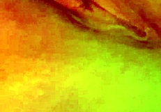 Did You See Me Playing With Myself Until I Came?