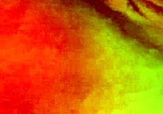 Did You See Me Playing With Myself Until I Came?