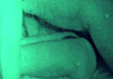 My Secret Life Featuring Vintage Grannies