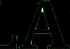 had a wild trio with my friend for new year fun