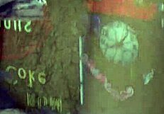 Vintage Taboo Family Fantasy