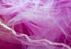 जवान लड़की ने पैंटी को विशाल स्क्वर्ट से भिगो दिया