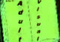 I Explore Harem Hotel 14 In This Cartoon Adventure