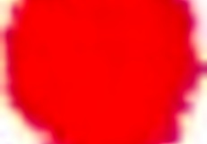 tutor4k turns student into submissive slut and fucks her vag