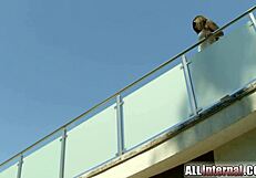 brunette european babe builds to orgasm with hardcore fucking, ending in massive internal creampie cumshot