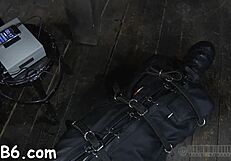 Ferocious whipping for bound gal