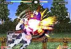 Strip Fighter 5 Game Review