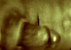 Imagine This Massive Black Cock Fucking You Senseless Into Oblivion.