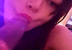 pamela pantera gives pornographic blowjob