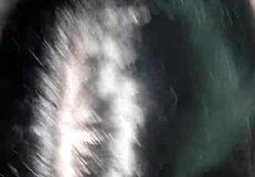 Gozando Na Minha Boquinha With Big Cock Oral And Handjob