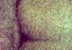 Cumslut bunny loves snow facial intensely