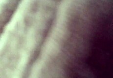 Husband And Wife Share Intimate Moments