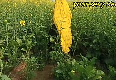 Husband Boldly Fucks Wife Mamat in Mustard Field Outdoor