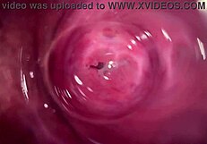 Camera Inside Horny Creamy Pussy