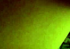 कुकी को मुंह भर स्वादिष्ट माल मिला