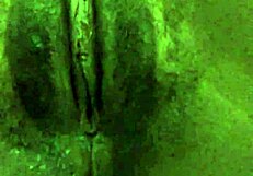 Ebony heaven home alone masturbates with fingering her wet pussy intensely.