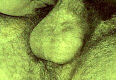 have you seen this vintage hairy pussy threesome?