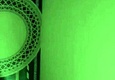 Taiwanese Beauty in Wild Action