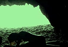 Yo, sneaking a quickie at the beach inside a hidden cave! 🏖️