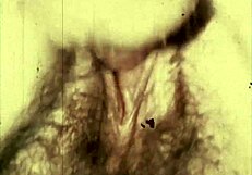 My secret family desires from vintage swinging sixties London haunt me still