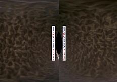 wanna see kenna james and veronica weston in naughty america's 2 chicks vr?