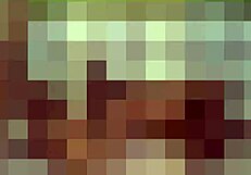 i got a sexy tranny babe for your birthday surprise